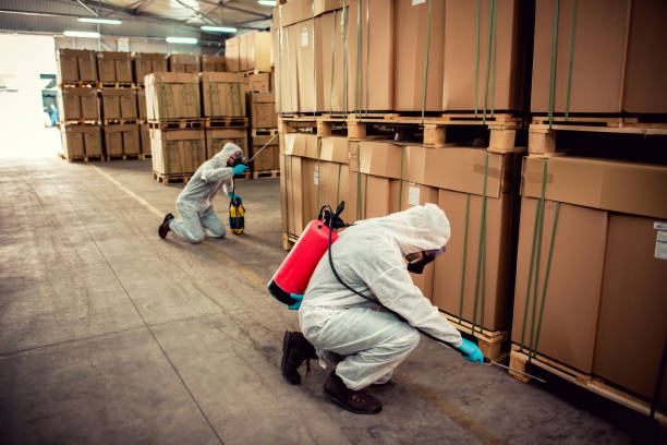 Best Wasp Removal Services  in Appomattox, VA