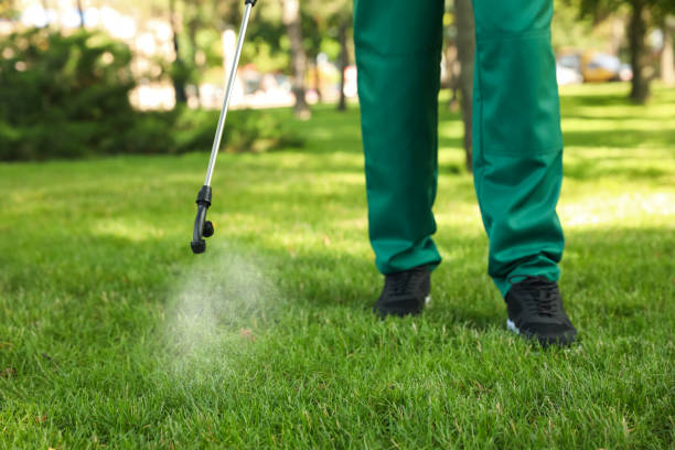 Flea Control Services in Appomattox, VA