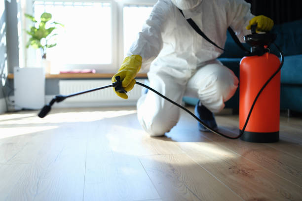 Best Termite Control Services  in Appomattox, VA