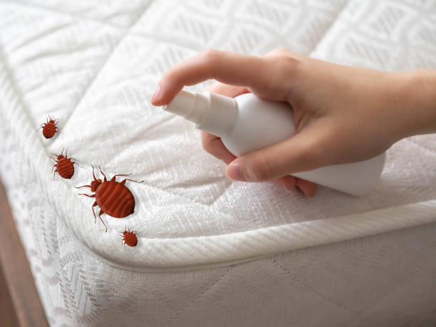 Best Pest Control Near Me  in Appomattox, VA